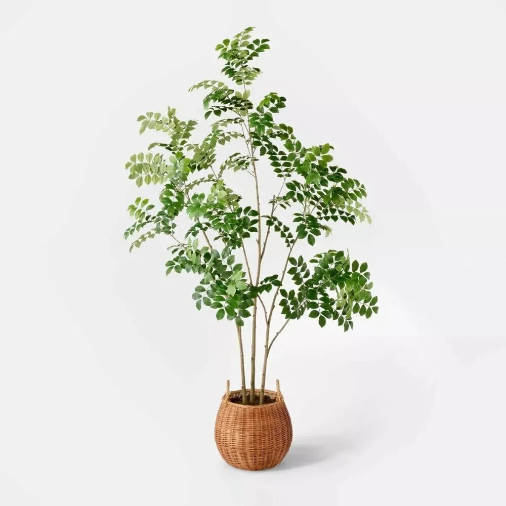 Threshold Studio McGee Artificial Pterocarpus Leaf Tree in Woven Basket - Target